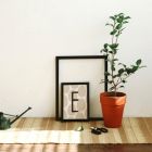 Alphabet poster