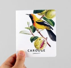 Card set-09 Bird