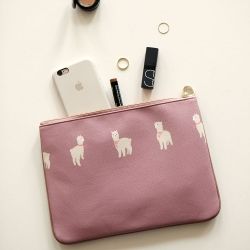 Dual Clutch Bag