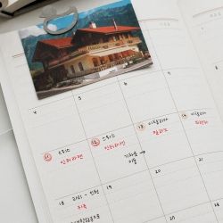Travel Diary