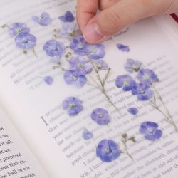 Press Flower Stickers_Flax