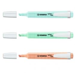 Swing Cool Highlighter Pastel Color