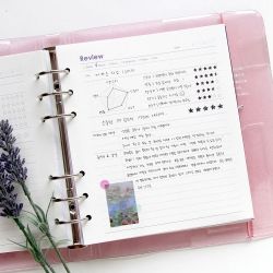SQUARE DIARY Refill - Theme, 6Rings 148x172mm