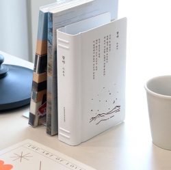 Korean Literature Bookend 