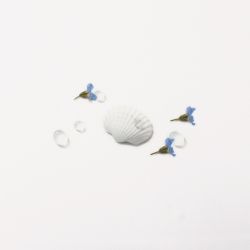 Nature Stickers_Seashell