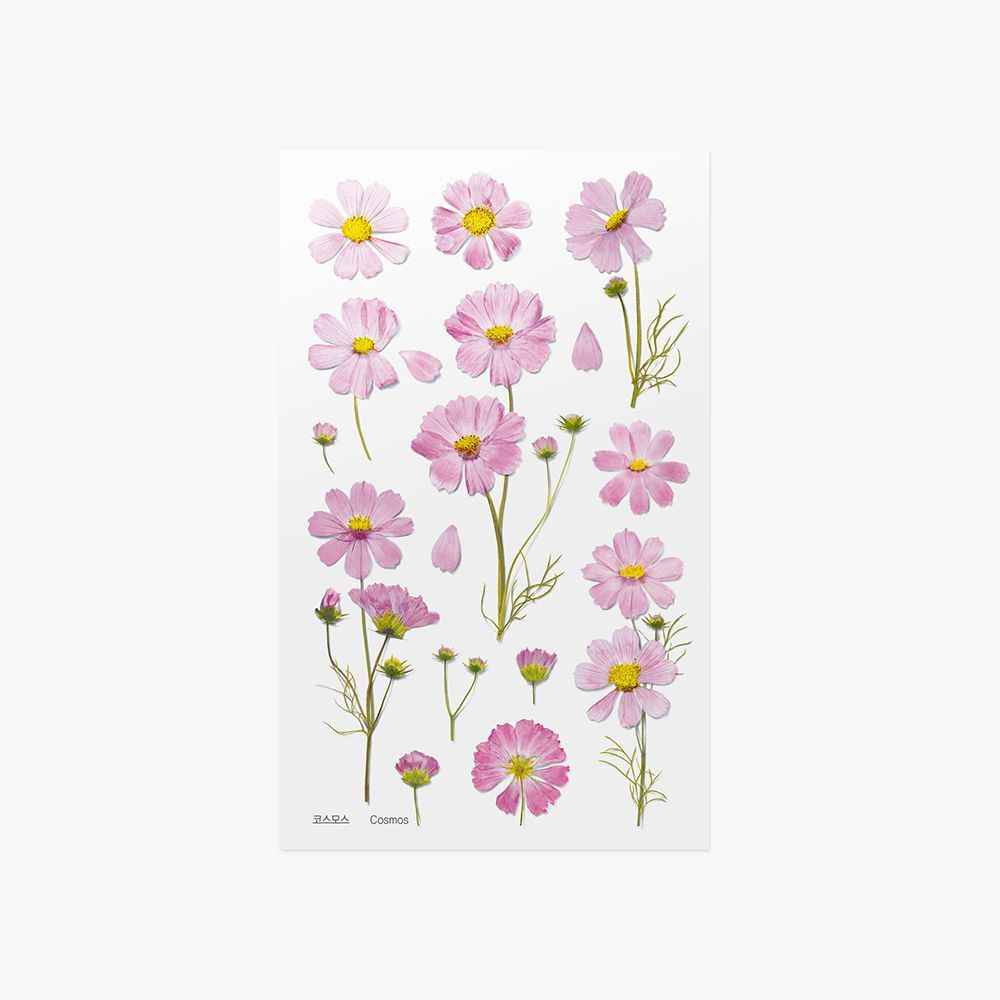 Press Flower Stickers_Cosmos