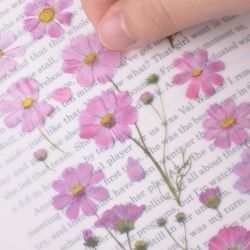 Press Flower Stickers_Cosmos