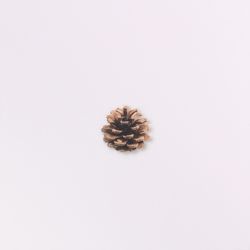 Nature Stickers_Pine road
