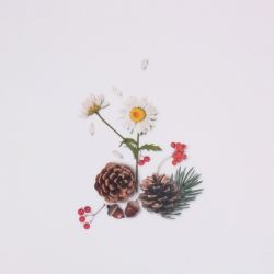 Nature Stickers_Pine road