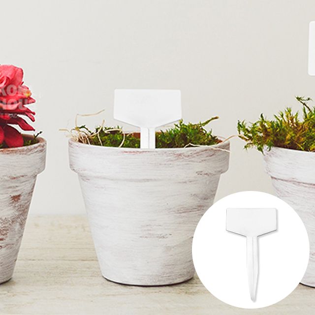 Plant Name Tag, 4.2X7.5cm, 50ea