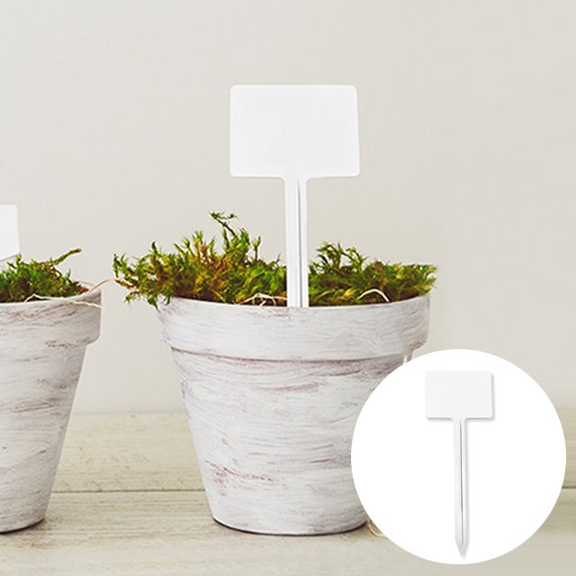 Plant Name Tag, 6X16cm, 20ea 