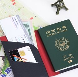 Simple Anti-Skimming Passport Case (S)