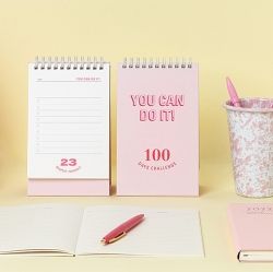 100 DAYS CHALLENGE PLANNER