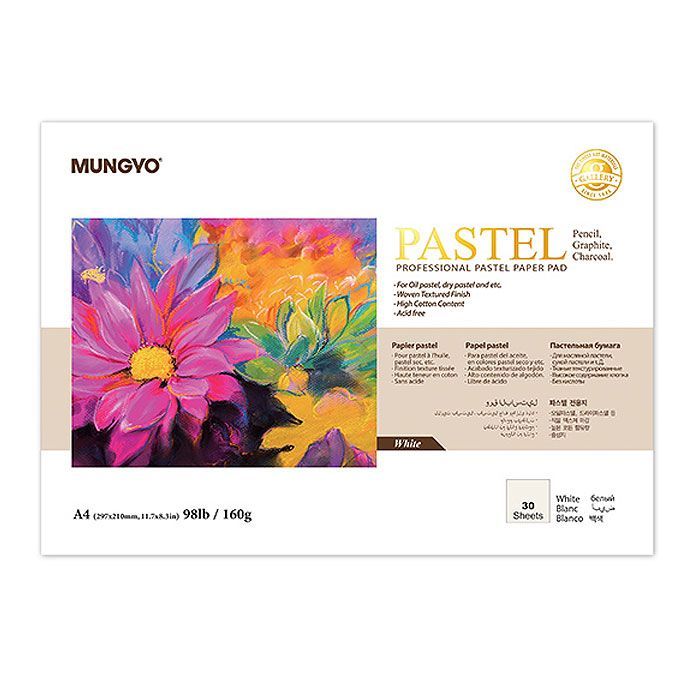 Professional Pastel Paper Pad, A4 Size 
