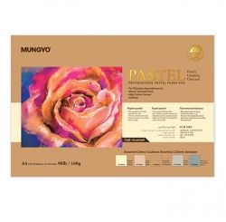 Professional Pastel Paper Pad, A4 Size 