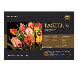 Professional Pastel Paper Pad, A4 Size 