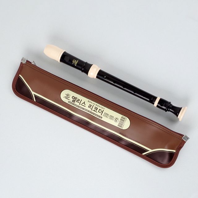 Soprano Recorder ESRG-100D