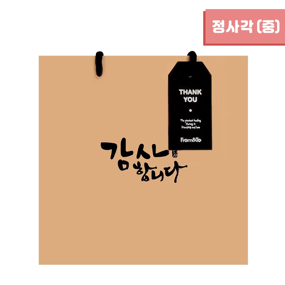 Kraft Shopping Bags Thank You square  M (10pcs)