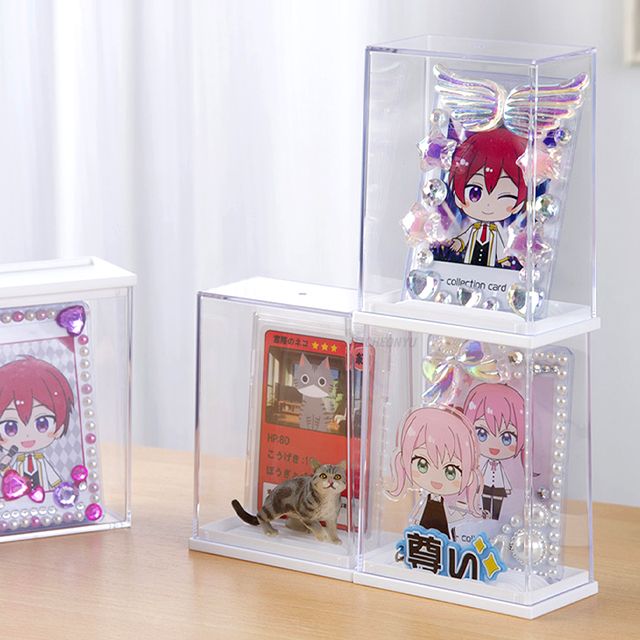 Hard Card Case Display