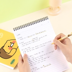 Choonsik Spring Notebook