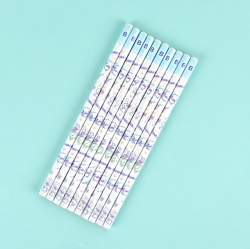 Cinnamoroll Pencil 10pcs Set 