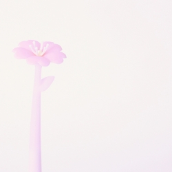 Wobbly pen_Cherry Blossom