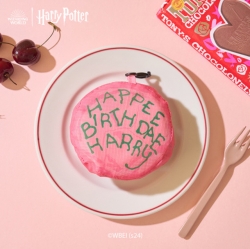 Harry Portter Market Bag - Birthday