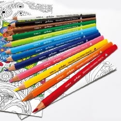 Ardor Large Triangle Erasing Color Pencils 12pcs