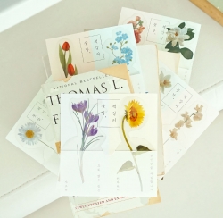 Flower Road Digression Bookmark All Set