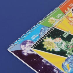 3000 New Pokemon Sketch book, Random