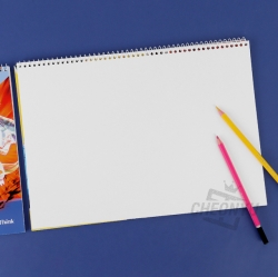3000 New Pokemon Sketch book, Random