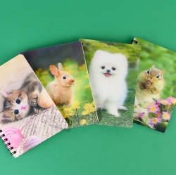 fantastical 3D lenticular notebook