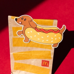 Shape Card