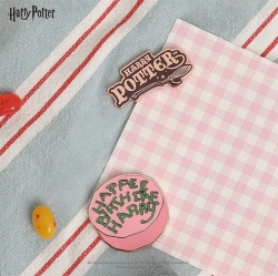 Harry Potter Magnet 2P Set