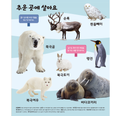 BIG 100 Animal Encyclopedia