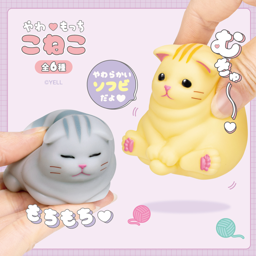 Soft & Fluffy Baby Cat