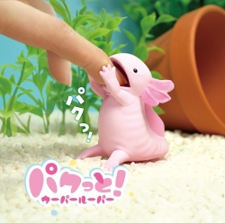 Chomp! Axolotl – One Bite, Boom!
