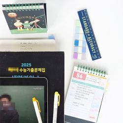 a 100-day planner