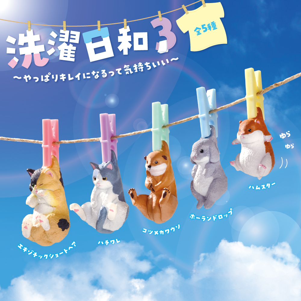 Perfect Day for Laundry 3