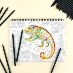 36 Colors Colored Pencil
