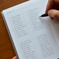 Bucket Alarm Diary