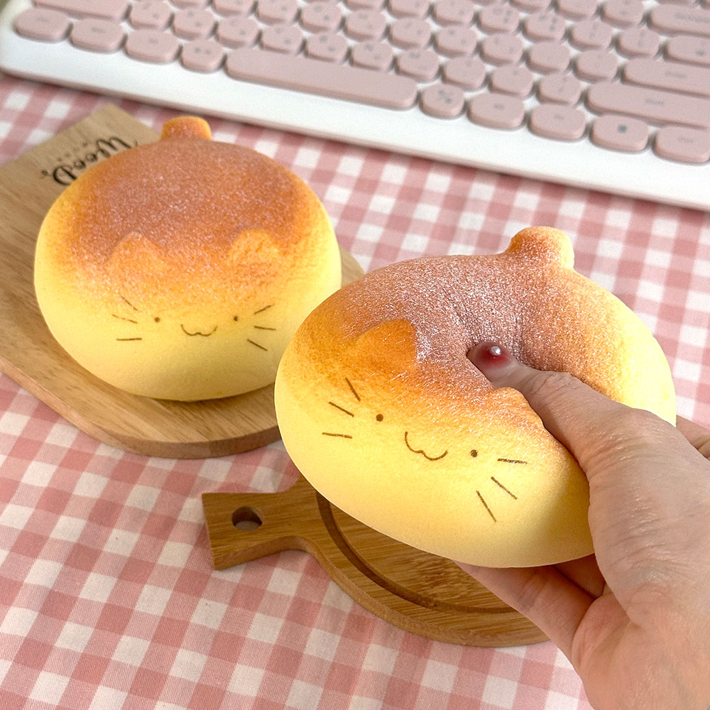 Soft Mochi Cat Squishy
