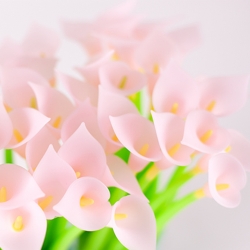 Wobbly pen Calla