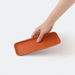 Desk tray