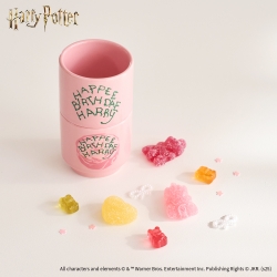 Harry Potter Soju Glass Set