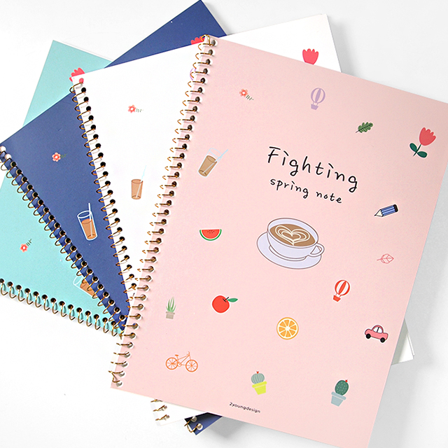 fighting Illust spring note