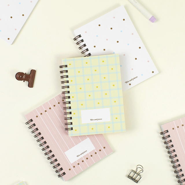 [Undated]Bits and pieces Mini diary