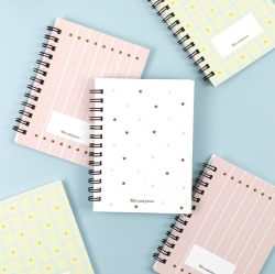 [Undated]Bits and pieces Mini diary