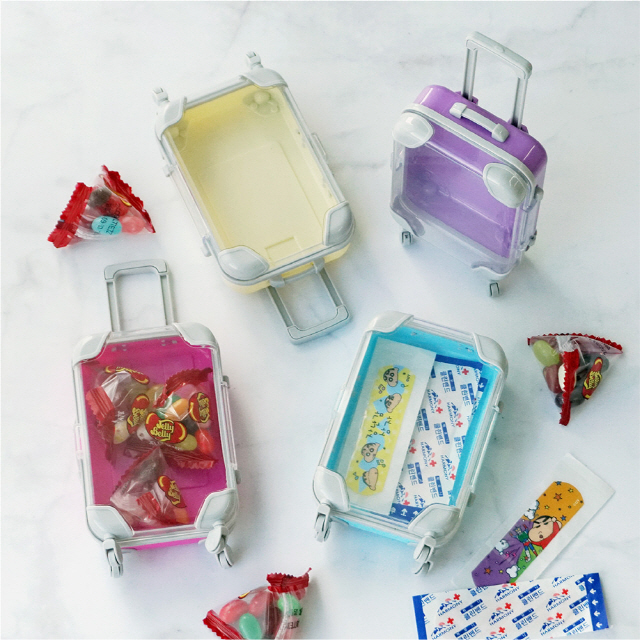 Color miniature carrier case accessory storage box