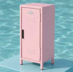 Mini Secret Cabinet